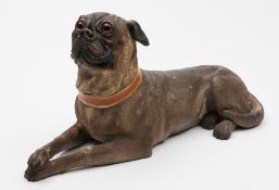 An Austrian cold painted pottery pug: modelled in recumbent posture with crossed fore paws with