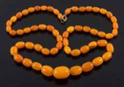 A graduated amber coloured bead,