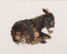 * Anthony Amos [1950-2010]- Donkey:- signed lower right oil on board 38 x 47cm, verso figure study.
