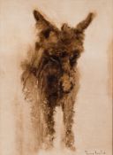 * Anthony Amos [1950-2010]- Donkey Foal:- signed bottom right oil on board 25 x 18cm