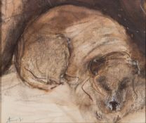 * Anthony Amos [1950-2010]- Sleeping Dog:- signed bottom left pencil drawing, pen,