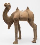 A large Chinese pottery model of a bactrian camel: standing four-square with head turned back and