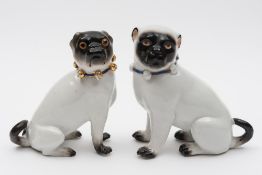 A Sitzendorf porcelain pug and one similar: each modelled in seated posture,