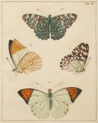 HARRIS, Moses - [ Butterflies] : 20 hand coloured copper engraved plates, binder's cloth, 4to,