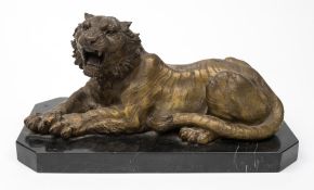 A bronze study of a reclining Bengal tiger: with snarling face, raised on marble plinth base, 37cm.