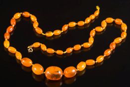 An amber coloured bead single string necklace: composed of 44 ovoid beads graduated from 13mm long