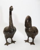 A pair of 20th century bronze models of geese: unsigned, 46cm and 72cm. high.