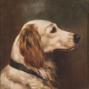 Circle of Maud Earl [1864-1943]- Terrier portrait; Spaniel portrait:- two ,