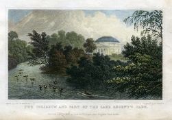 THE COLISEUM An aquatint by Tho. H.
