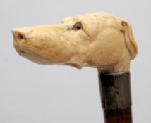An Edwardian carved ivory dogs head mounted walking cane:,