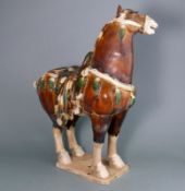 A Chinese sancai glazed pottery figure of a Fereghan horse: in Tang-style,