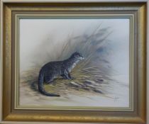 * Mike Nance [20th Century]- Otter:- signed oil on canvas 40 x 50cm.
