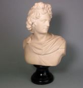 An alabaster bust of The Apollo Belvedere: in classical attire on a black wood socle, incised 912.A.