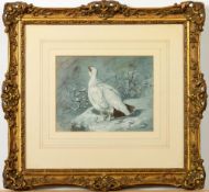 Follower of Archibald Thorburn [19/20th Century]- Capercaillie,