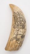 A Scrimshaw decorated tooth:,