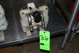 Wilden Diaphram Pump