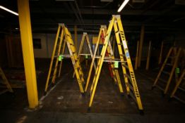 Werner A-Type 8' Ladders