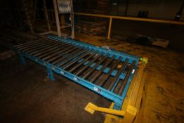 Skate Conveyor, 2-Sections of Hytrol 10' L x 50