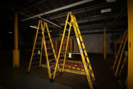Werner A-Type Ladders, Some 10', 20'