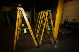 Werner A-Type 6' Ladders