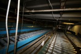 Section of Hytrol and Other Case Conveyor, Including Straight Sections, Curved Sections, and Incline