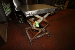 S/S Electric Platform Lift, 24