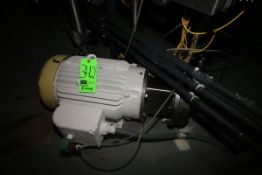 Centrifugal Pump, S/S Clamp Type Head