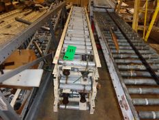 Hydrol Power Conveyor with Reliance Electric Motor, 12