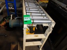 Hydrol Power Conveyor with Reliance Electric Motor, 12