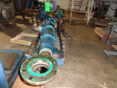 Moyno Cavity Pump, Model 2L8CD03 with 4