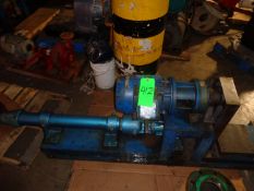 Moyno 5 hp Cavity Pump with 2-1/2