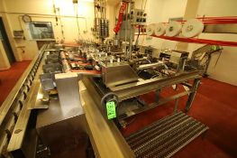 Custom Design IWS 4-Station All S/S Constructed Horizontal Wrappers with Stacker and Controls