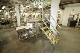 Line #22 Conveyor Bridge with Stairs, Handrails and Plastic Grating (Line #22)