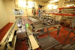 Custom Design IWS 4-Station All S/S Constructed Horizontal Wrappers with Stacker and Controls