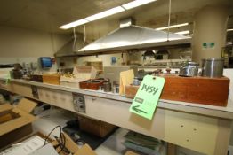 Assorted Scale Weights