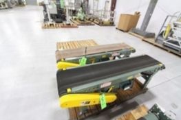 Hytrol Metering Case Conveyor