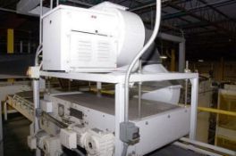 Sentry Depalletizer Can Discharge Conveyor, Year 2005