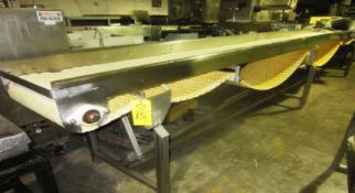S/S Conveyor 20