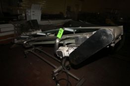 S/S Incline Conveyor, 48