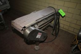S/S Transfer Conveyor, 10