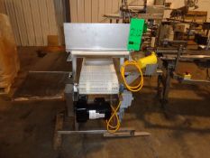 (1) S.S. Conveyor 12