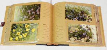 Four albums comprising 357 photochrome postcards