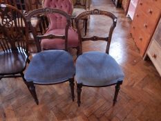 Two Victorian chairs with shell decoration,