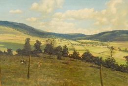 Mascall Oil on canvas Landscape, cows in field in open landscape, signed, 49cm x 75.