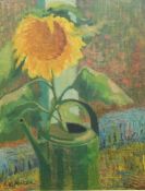 A W Hooker Oil on canvas Sunflower in a watering can, signed bottom left,