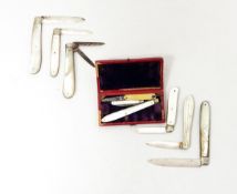 An Edward VII silver fruit knife with mother-of-pearl handle, metal inset to handle, Sheffield 1905,