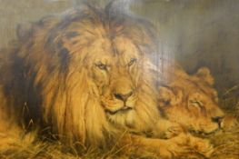 Late 19th century Colour print 