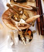 Three small bird skulls and similar items