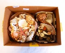 A quantity of shells and sundry stone fragments