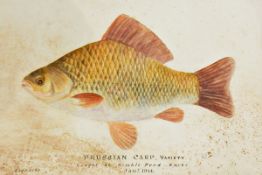 English school (19th century) Watercolour 